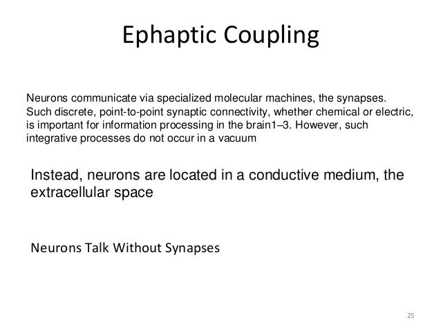 ephaptic transmission